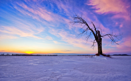 484397 (a): :2560x1600